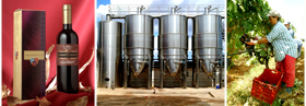 La presentacion de nuestra coleccion de vinos esta estudiada para resaltar la Calidad de Nuestros VINOS... somos una empresa de Brindisi en el Salento Italia y seleccionamos las mejores uvas de nuestra produccion para nuestros vinos Lomazzi & Sarli ahora con nueva tecnologia para ayudar los distribuidores de vinos en el mundo... Descubre el &nbsp;Gusto del vino Italiano con vinos tinto Primitivo Latias, Imperium Chardonnay, Negroamaro, Irenico Salice Salentino, Bocciolo Novello, Solice Rosato, Partemio Malvasia Bianca...